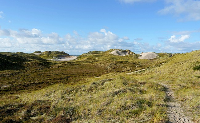 Colo Vélo Road Trip ! - Colonie de vacances été 2026 Photo séjour Vélo Road Trip !
