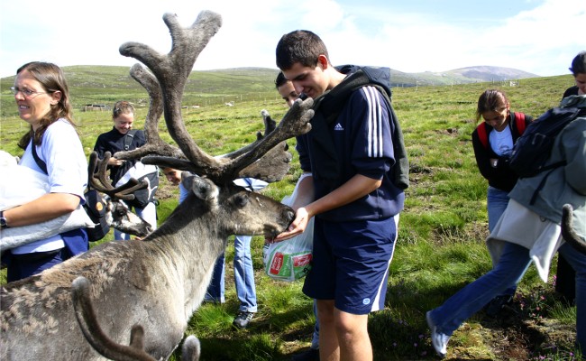 Colo Cap sur lEurope ! - Colonie de vacances été 2026 Photo séjour Cap sur lEurope !