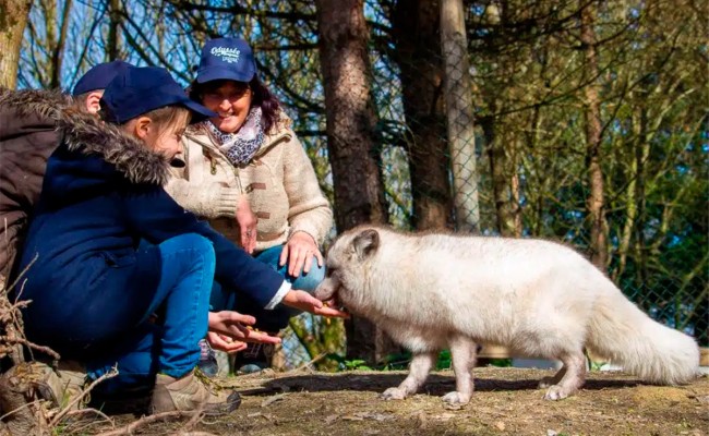 Colo Zanimoland - Colonie de vacances été 2026 Photo séjour Zanimoland
