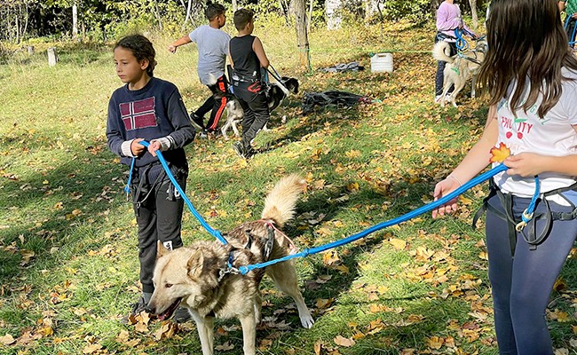 Photo séjour Les Ptits Montagnards !