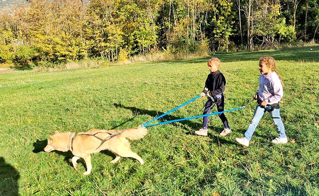 Photo séjour Les Ptits Montagnards !